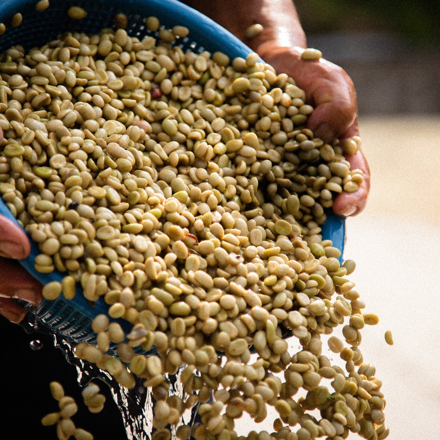 Café da Guatemala | Las Peñas