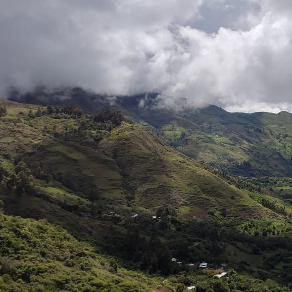 Café do Perú | Puente Solaya